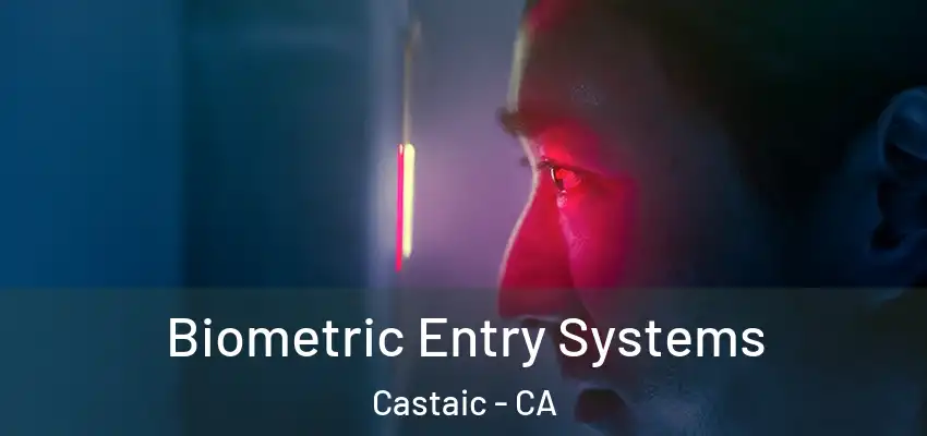  Biometric Entry Systems Castaic - CA