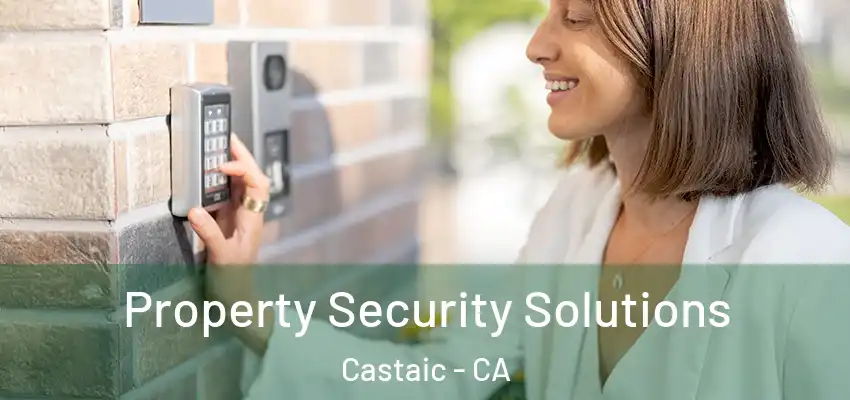  Property Security Solutions Castaic - CA